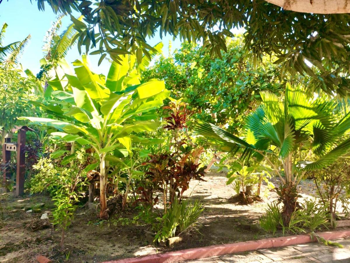 Branca Tropical Brasil Residencial- Taperapuan Villa ปอร์โตเซกูโร ภายนอก รูปภาพ