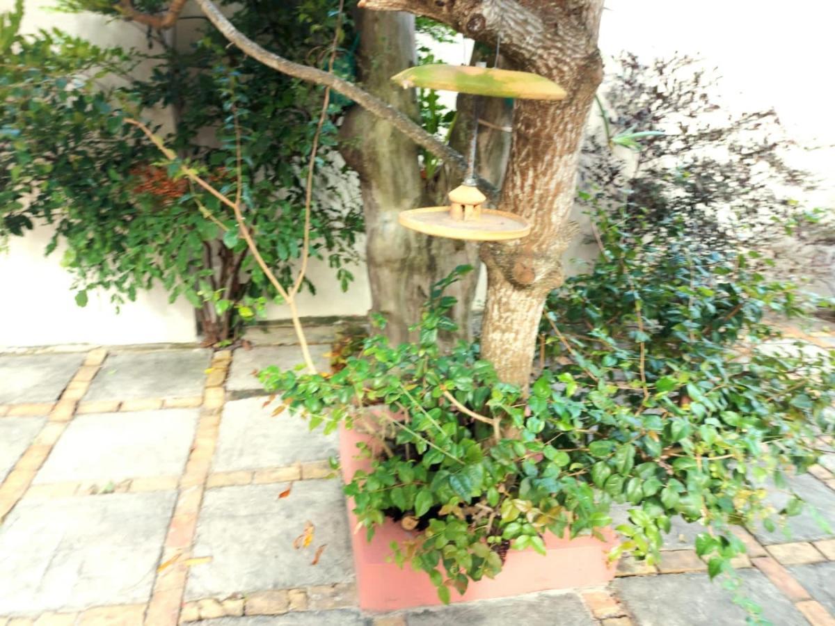 Branca Tropical Brasil Residencial- Taperapuan Villa ปอร์โตเซกูโร ภายนอก รูปภาพ